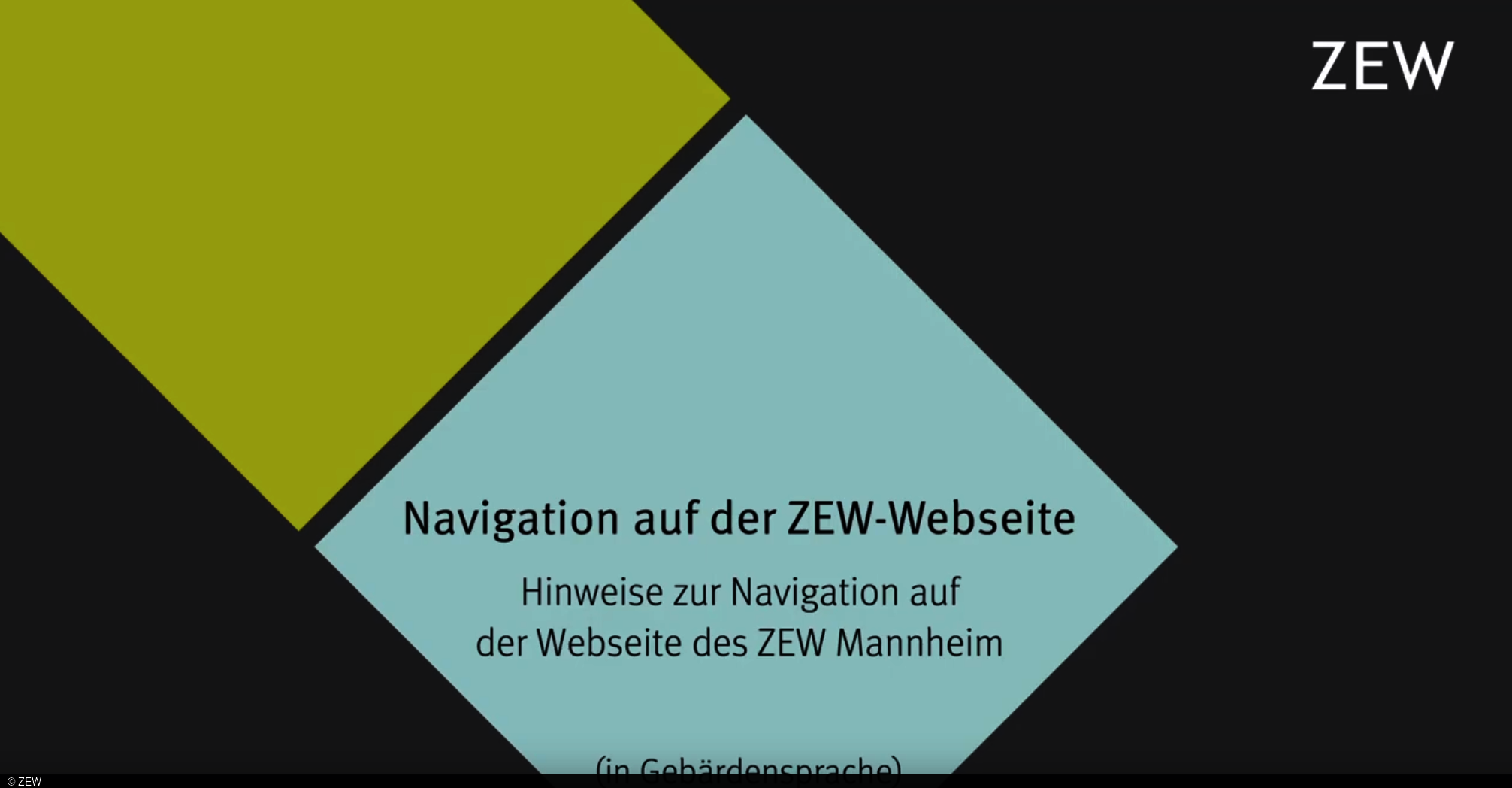 Ein Video, das in Gebärdensprache die Inhalte und Navigation auf der ZEW-Webseite erklärt
